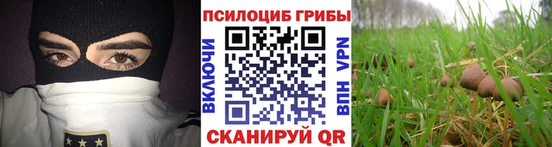 магазин  наркотиков  Грязи  Галлюциногенные грибы прущие грибы 